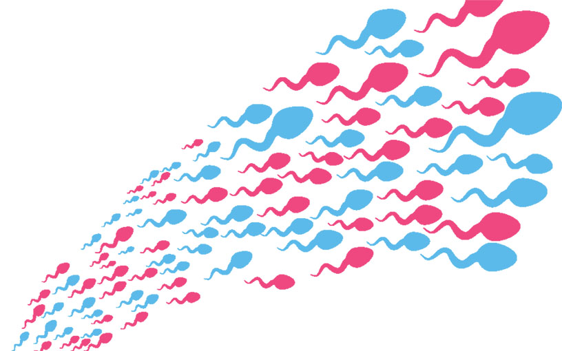 Ejakulasjon og prostatakreft – forskere på kollisjonskurs