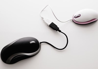 Nettdating: Hot or not for single på nett