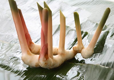 Ingefær i gammeldags oppdragelse