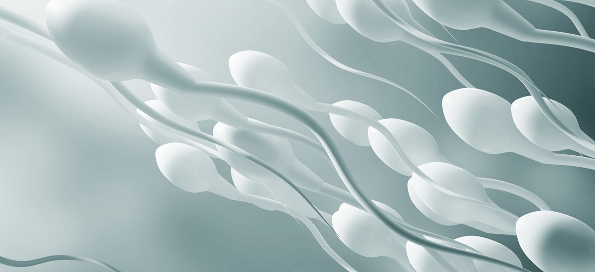 Sex og sæd mot brystkreft