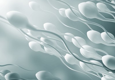 Sex og sæd mot brystkreft