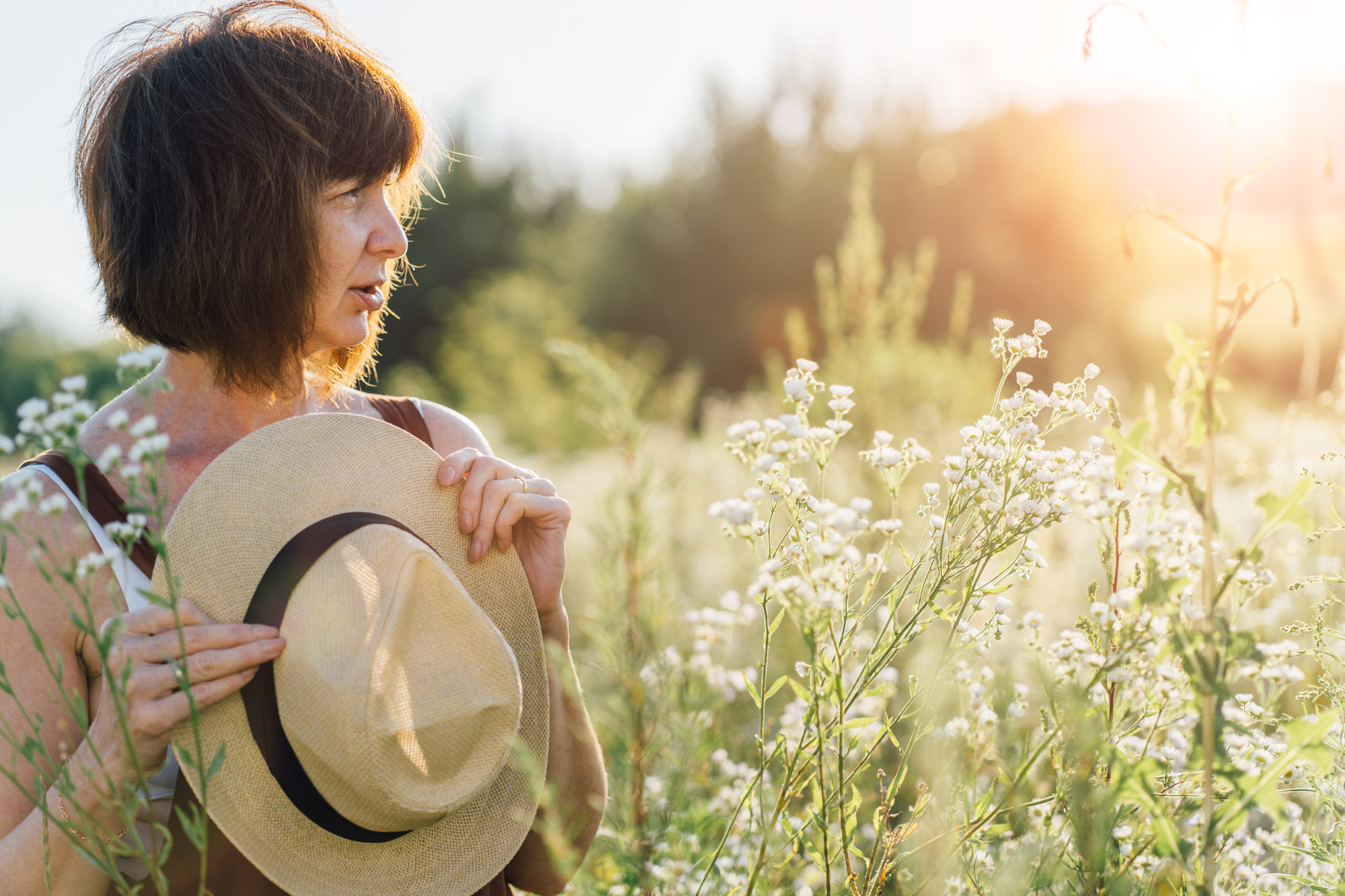 Menopausen - Klimakteriet – Overgangsalderen